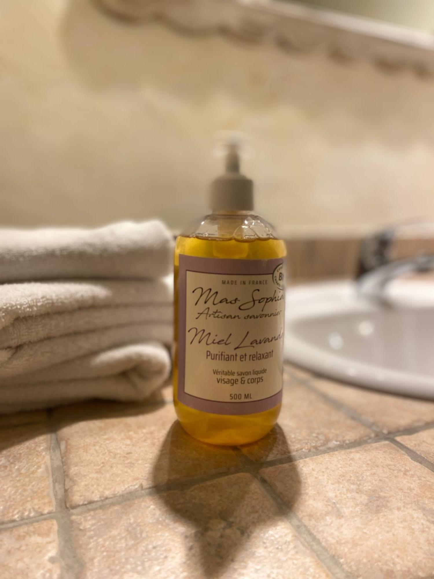 Logis Hotel Medieval, Montelimar Nord 로슈마우르 외부 사진